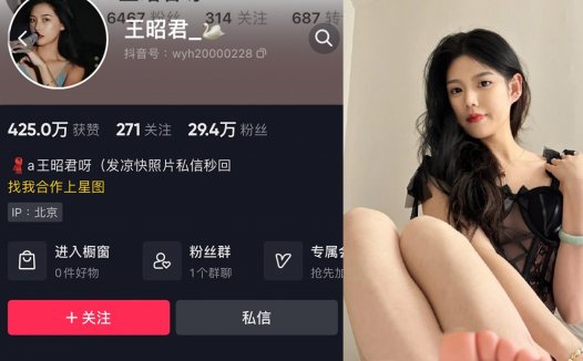 抖音王昭君微密weme圈图片视频合集