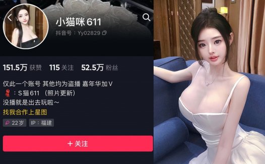 抖音小猫咪611微密照片资源,讲述属于春天的秘密