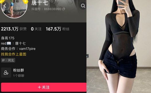 抖音唐十七维密资源,几分含蓄的魅力