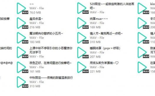 b站五月织姬ctsu中文音声舰长音频资源