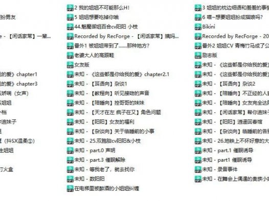 cv阳阳中文asmr助眠音声预览